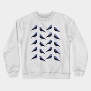 Mountain Bluebird (Ripe) Crewneck Sweatshirt